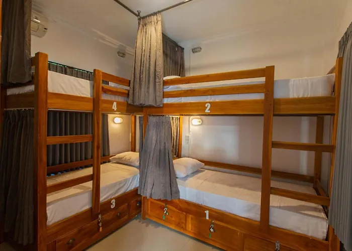Zentiga Surf Hostel *